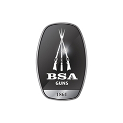 BSA