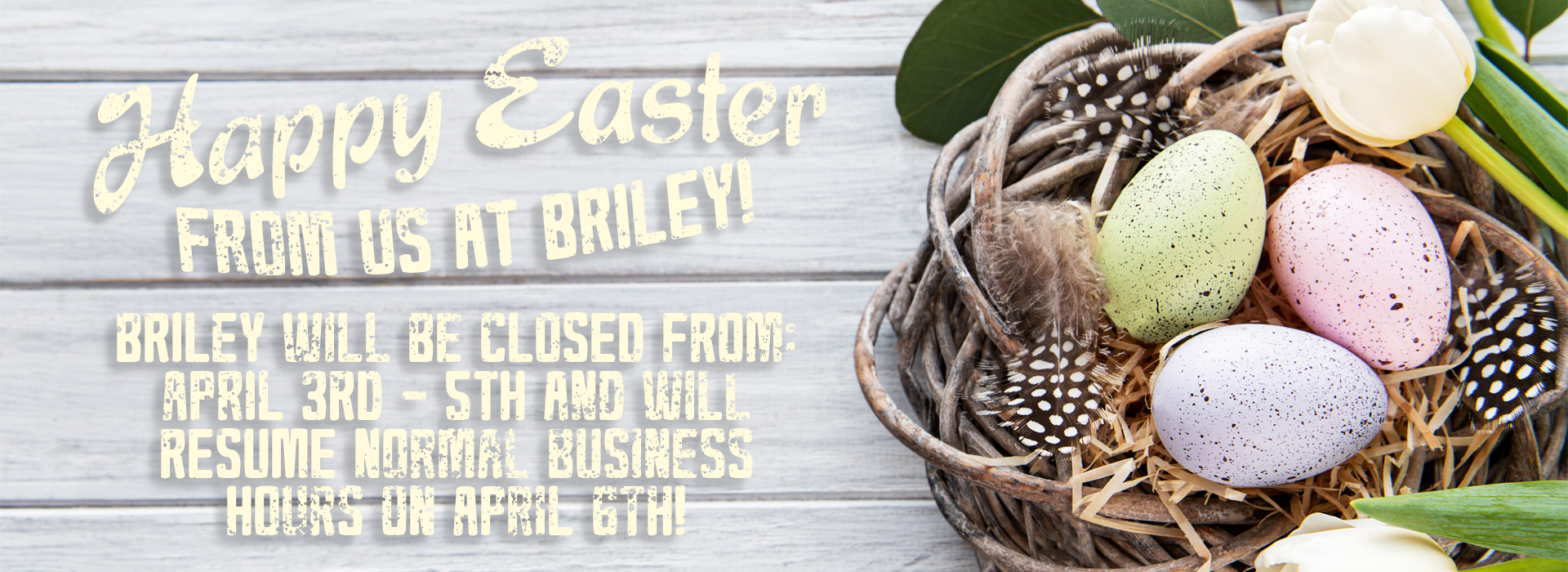 Conservation season!