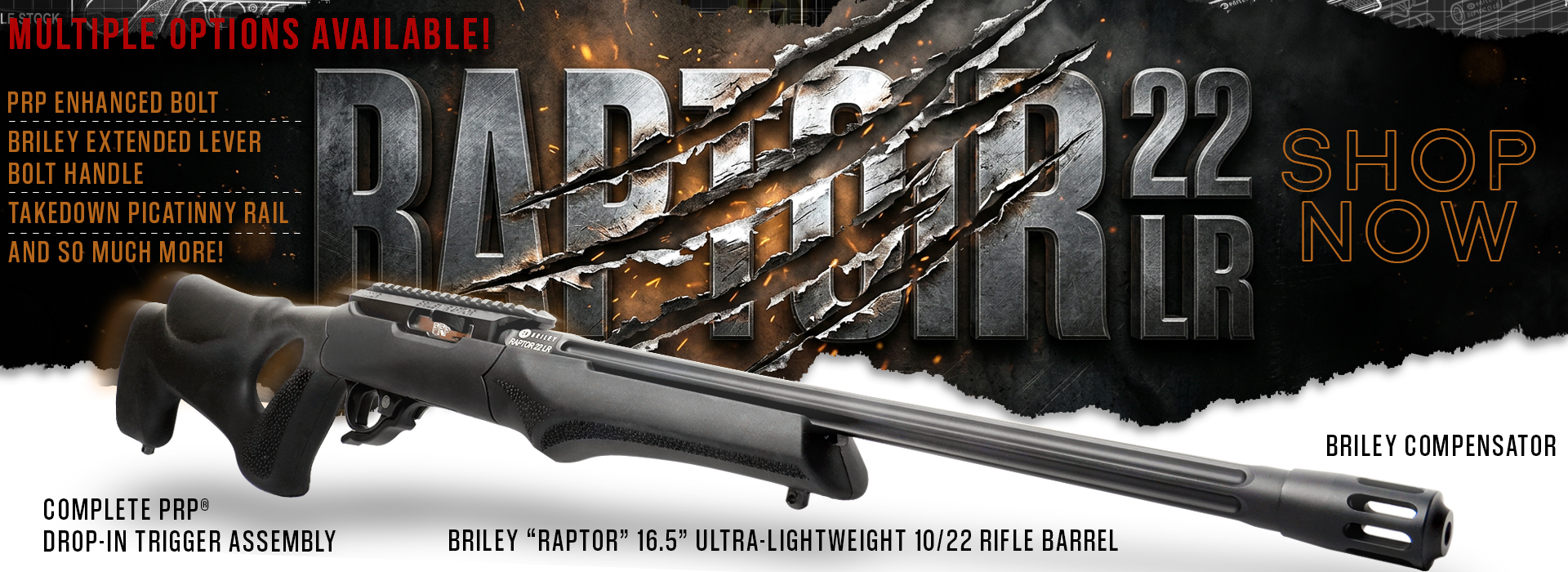 Briley Raptor!