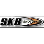 Skb Cases