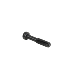 10/22 Takedown Screw