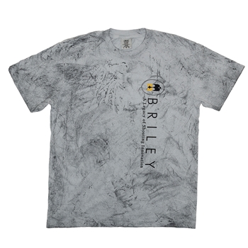 Briley T-Shirt “OWN THE SKY” Smoke