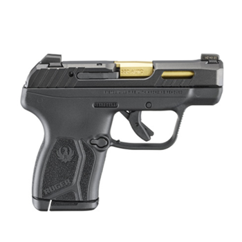 Ruger LCP MAX #13766 .380, 2.8” 10rd (G87102)