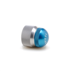 Silver_x0020_Body_x0020_Blue