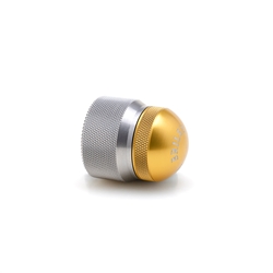 Silver_x0020_Body_x0020_Gold