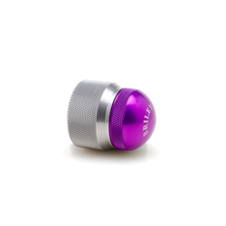 Silver_x0020_Body_x0020_Purple