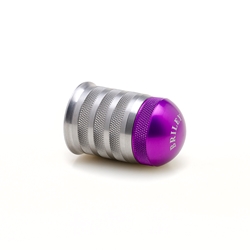 Silver_x0020_Body_x0020_Purple_x0020_Cap